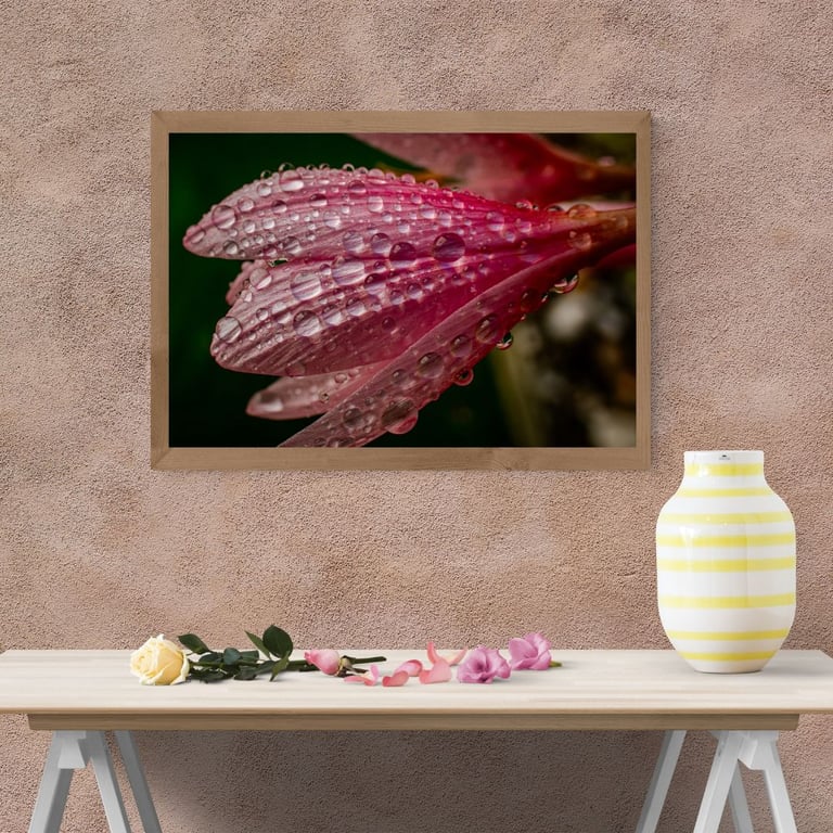 Pink Flower covered in morning dew.