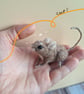 Mischief Mouse - Chip