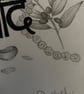 Blessings –  Original Marathi Botanical Drawing - Image 2