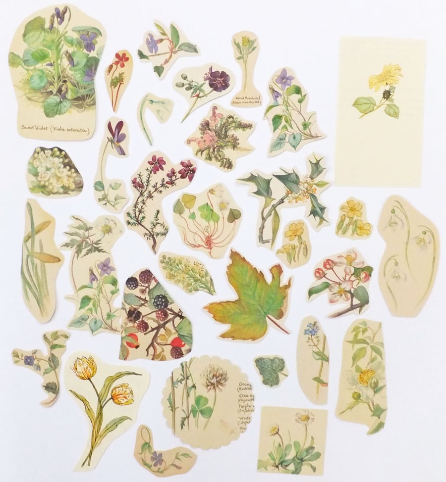 Paper Ephemera Pack - Flowers - Craft Supplies