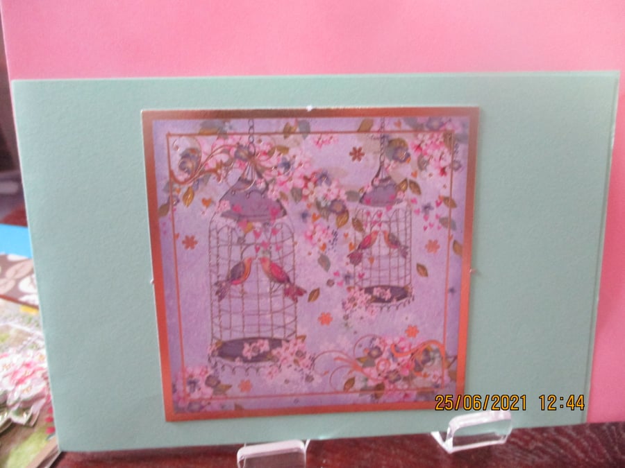 Birds in Cages Card