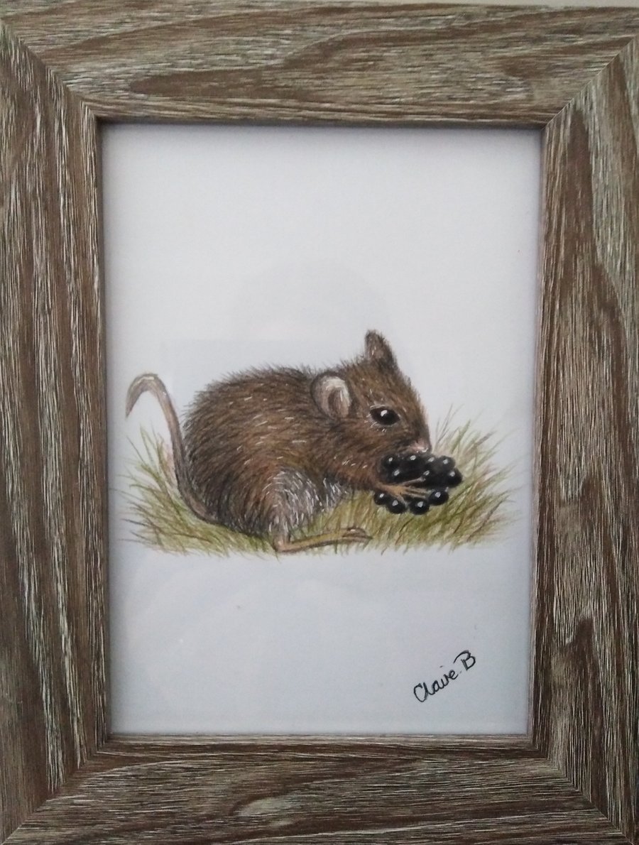 Hand drawn framed field mouse wall art