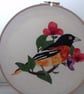 Baltimore Oriole REDUCED PRICE - Image 5