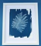 Botanical Art, Mimosa print Cyanotype, art for home, art as a gift. - Image 4