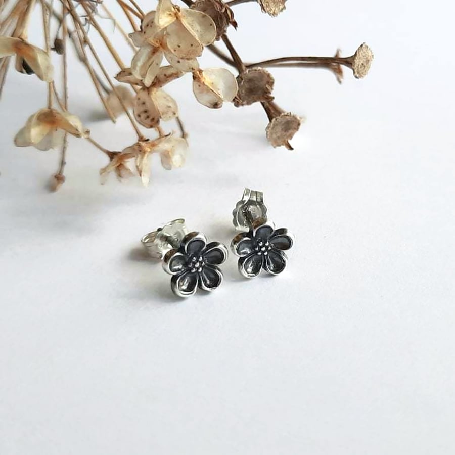 Small Silver Forget Me Not Flower Stud Earrings - Oxidised Fine Silver