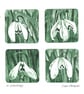 Snowdrops - Image 2