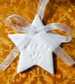 Personalised pet's star