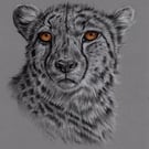 Charcoal Drawing of a Cheetah