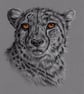 Charcoal Drawing of a Cheetah