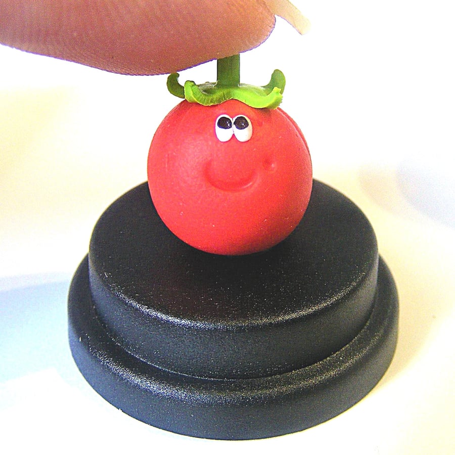 Pet Tomato, Tomato gift, Vegan gift, Vegetarian gift, Gift for cook 