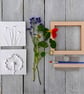 Superior Botanical Plaster Casting Kit - Image 2