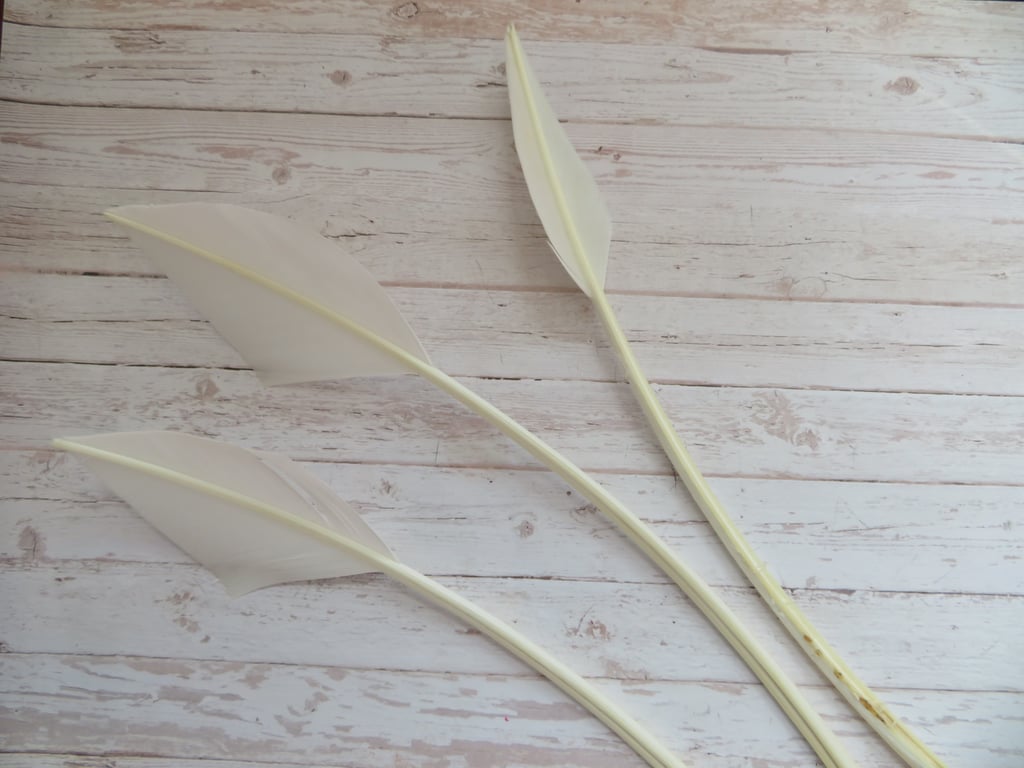 Ivory Striped Turkey Arrow Feathers x 3 Millinery Fascinator Craft Hat