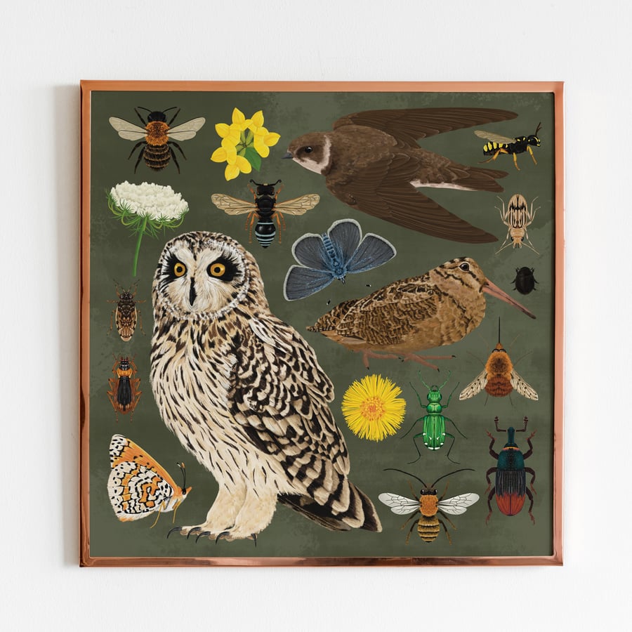 Maritime Soft cliff wildlife illustration print, Owl, Wildflower, Bees