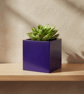 Medium Square Violet Plant Pot Indoor Planter 10 cm - Image 1