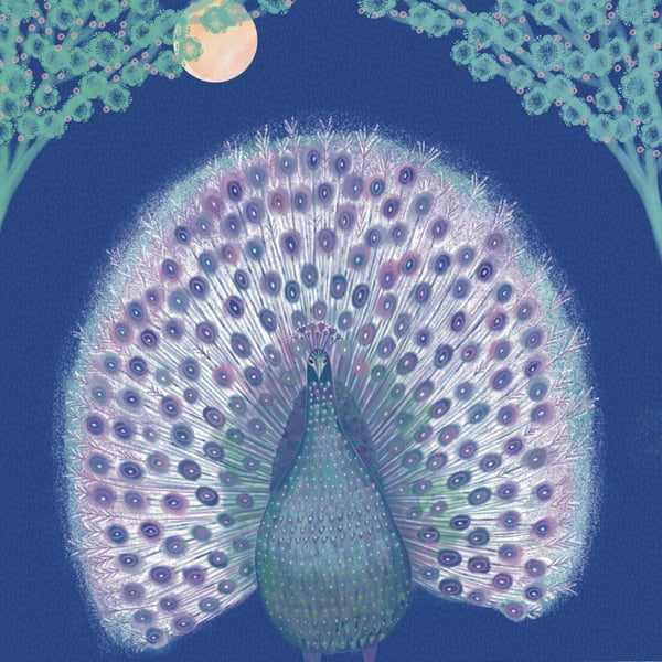 Peacock, blank greetings card 