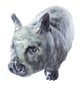 Wombat Ceramic Ornament - Hand Built - Image 3
