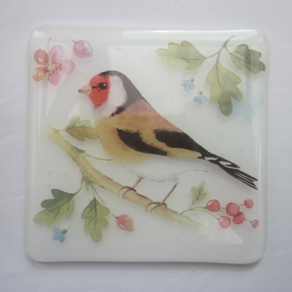  Handmade fused glass coaster - Goldfinch (a)