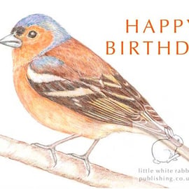 Chaffinch - Birthday Card