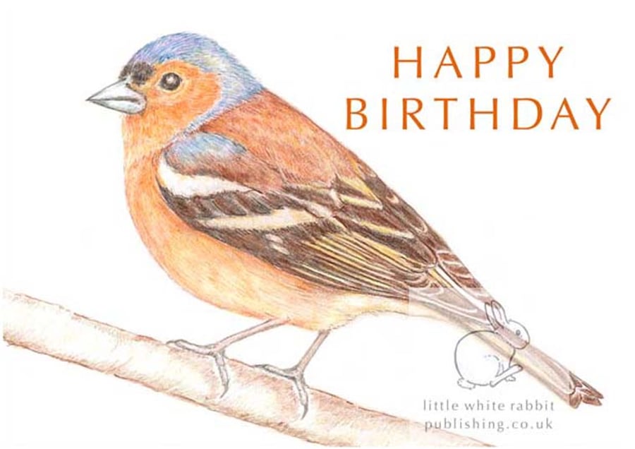 Chaffinch - Birthday Card