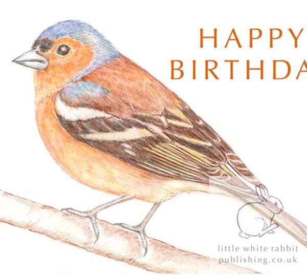 Chaffinch - Birthday Card