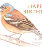 Chaffinch - Birthday Card - Image 1
