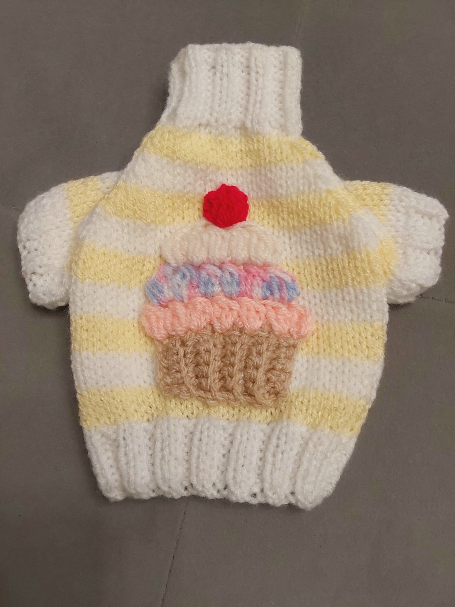XXSmall dog puppy sweater jumper coat 8”L 10”G hand knit (raglan sleeved)