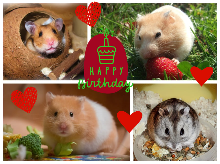 Happy Birthday Hamster Greeting Card A5