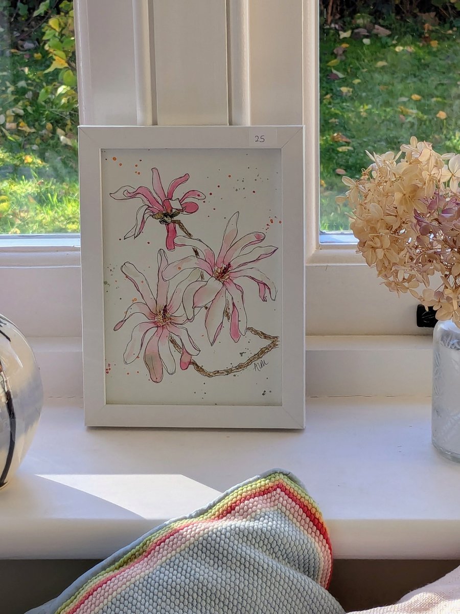 Magnolia Stellata, framed original watercolour painting 