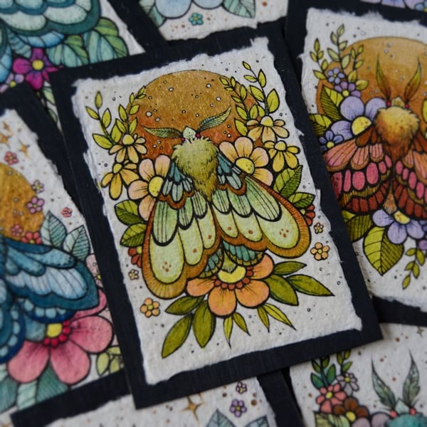 midsummer moth 1 - original aceo illustration