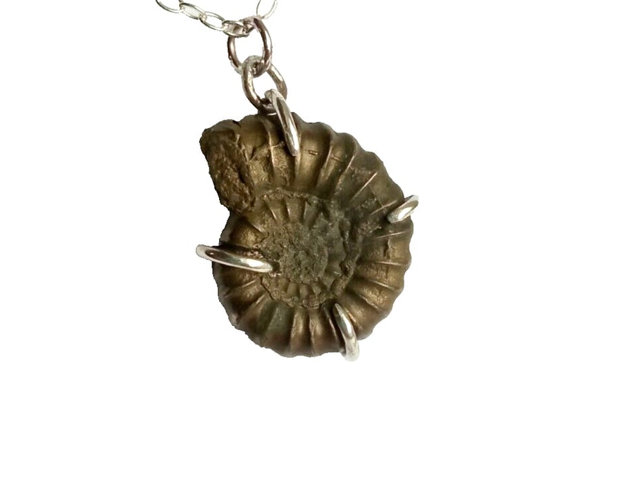 Pyrite Ammonite Necklace Sterling Silver Fossil Pendant Jewellery Gift Handmade