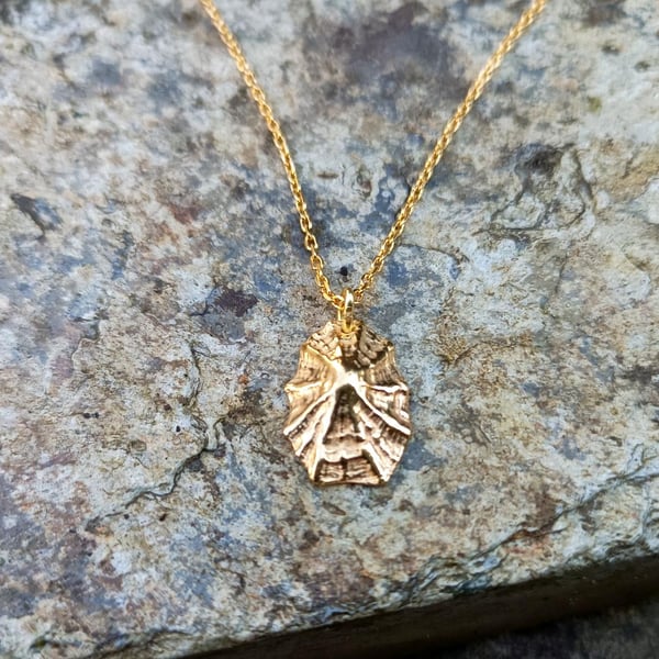 Gold Limpet Shell Pendant
