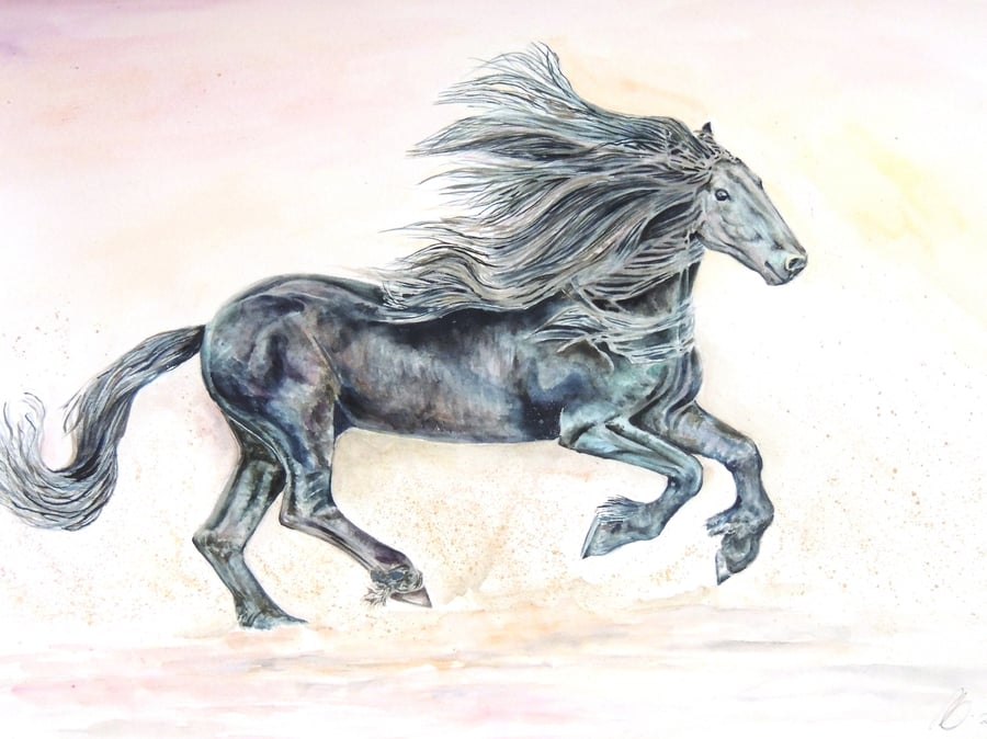  Black Horse  Original Watercolour Painting