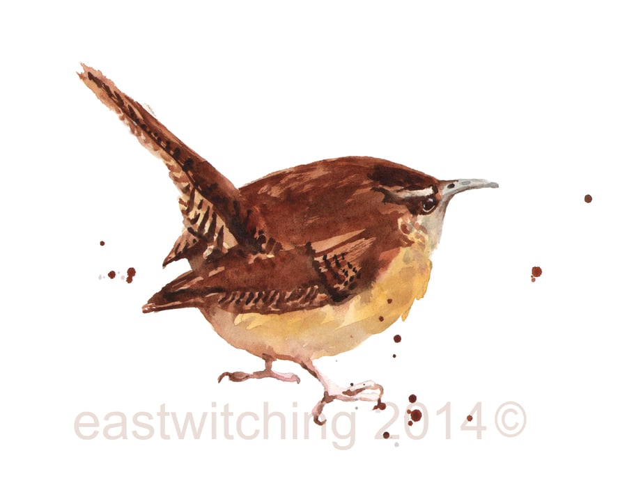 Wren Art Print