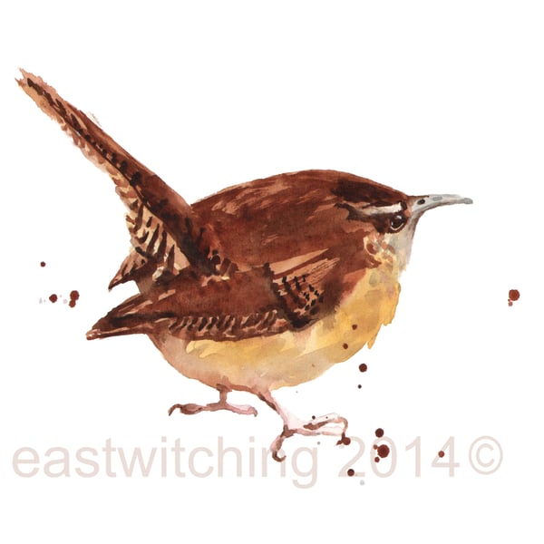Wren Art Print