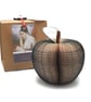 Pride and Prejudice Apple – Handmade Book Gift