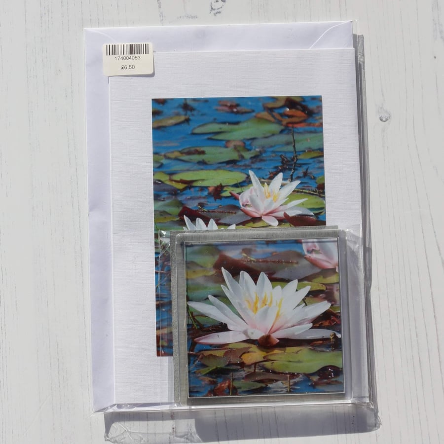 Photo card and coaster of a Water Lilly 