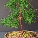  Wire Wrapped Bonsai Tree 