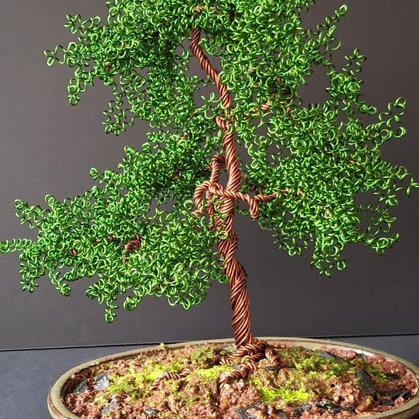  Wire Wrapped Bonsai Tree 