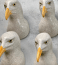 Ceramic Wall Mounted Seagull Head - Image 2