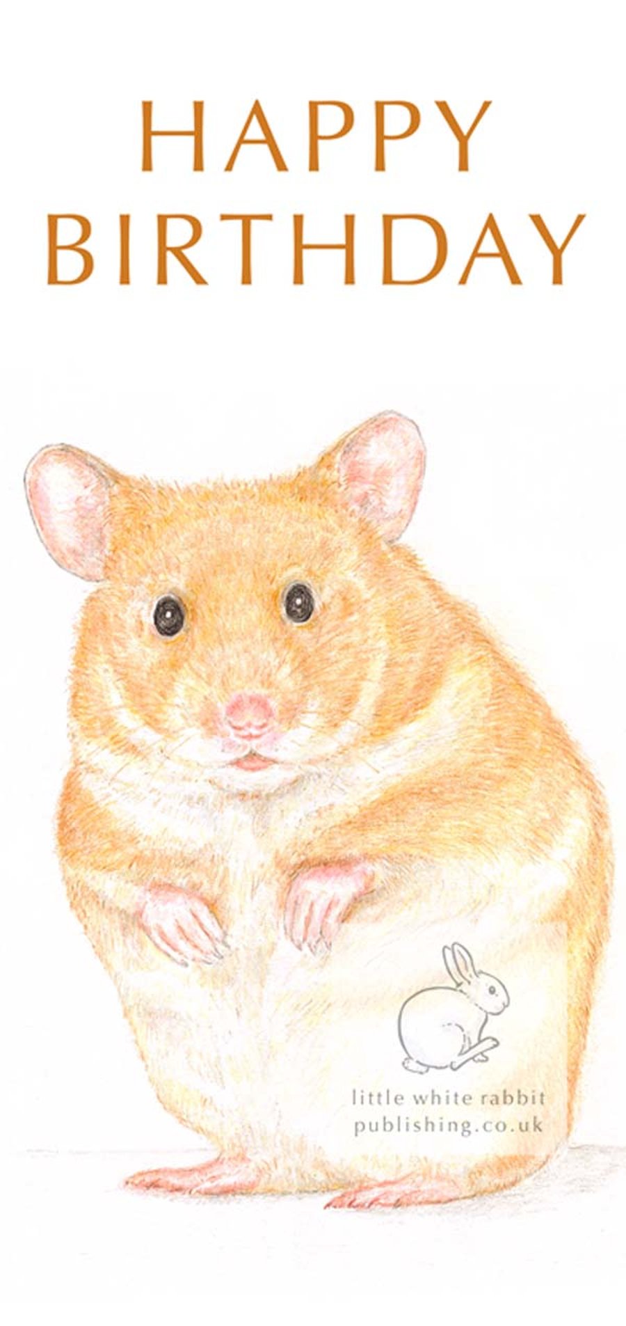 Daisy the Hamster - Birthday Card