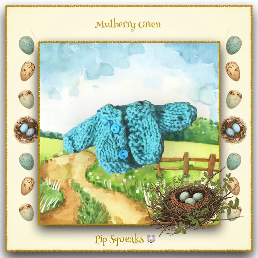 Pip Squeaks’ Turquoise Cardigan 