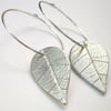 Simple Teardrop Leaf Patterned Silver Hoop Earrings