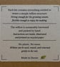 Willow Plant Support Weaving Kit, Natural Garden Craft Project - Image 10