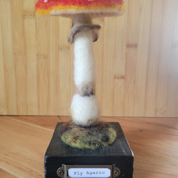 Fly Agaric mushroom