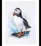 A Puffin, Professional Giclée Print. - Image 2