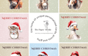 Christmas Card & Gift Shop