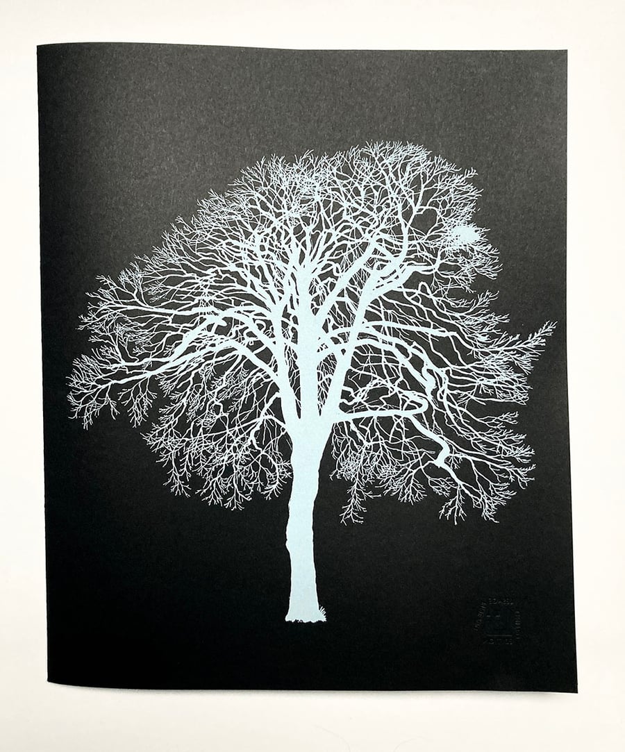 A portfolio of tree portraits: Limited Edition of 15