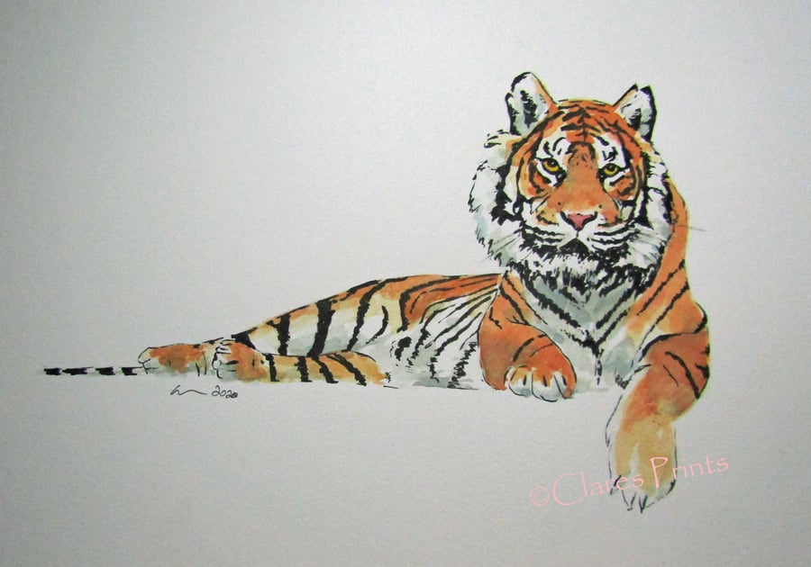 Tiger Chill Original Cat Watercolour Art Painting OOAK