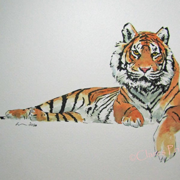 Tiger Chill Original Cat Watercolour Art Painting OOAK