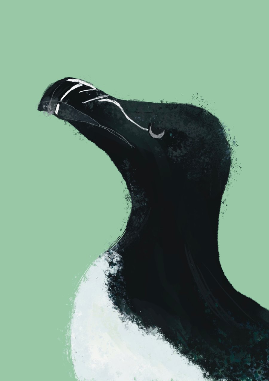 Seaside Coastal Art Bird Print 